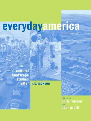 cover image of Everyday America